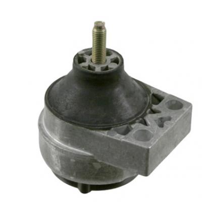 Sed mollis elementum lectus rhoncus