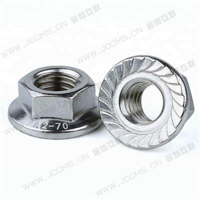 Flange Nuts 