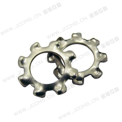External Tooth Washers