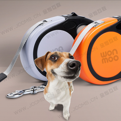 Common medium-sized dogs