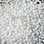 pom.png